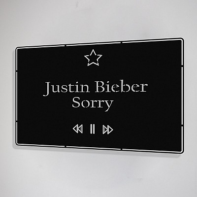 Benim Favori Şarkı Sorry ve Şarkıcım Justin Bieber Tasarım Metal Tablosu 50x32cm